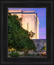 Load image into Gallery viewer, Mesa Temple Living Heritages
