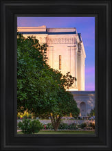 Load image into Gallery viewer, Mesa Temple Living Heritages
