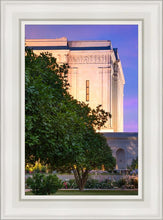Load image into Gallery viewer, Mesa Temple Living Heritages
