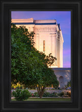 Load image into Gallery viewer, Mesa Temple Living Heritages
