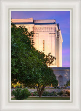 Load image into Gallery viewer, Mesa Temple Living Heritages
