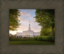 Load image into Gallery viewer, Nashville Trees
