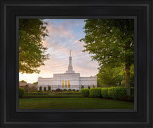 Load image into Gallery viewer, Nashville Trees
