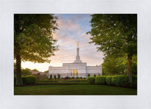 Load image into Gallery viewer, Nashville Trees
