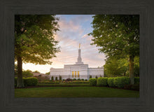 Load image into Gallery viewer, Nashville Trees

