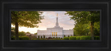 Load image into Gallery viewer, Nashville Trees
