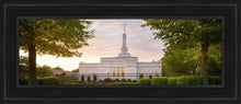 Load image into Gallery viewer, Nashville Trees
