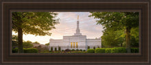 Load image into Gallery viewer, Nashville Trees
