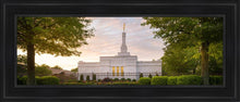 Load image into Gallery viewer, Nashville Trees

