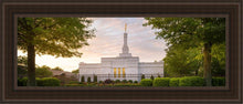 Load image into Gallery viewer, Nashville Trees
