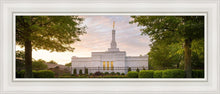 Load image into Gallery viewer, Nashville Trees
