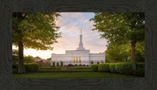 Load image into Gallery viewer, Nashville Trees
