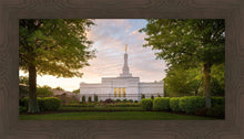 Load image into Gallery viewer, Nashville Trees
