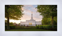 Load image into Gallery viewer, Nashville Trees
