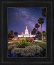 Load image into Gallery viewer, Oakland Starry Eyed
