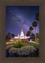 Load image into Gallery viewer, Oakland Starry Eyed
