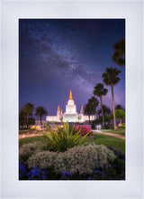 Load image into Gallery viewer, Oakland Starry Eyed
