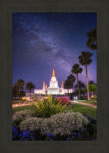 Load image into Gallery viewer, Oakland Starry Eyed
