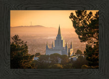 Load image into Gallery viewer, Golden Oakland
