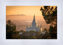 Load image into Gallery viewer, Golden Oakland
