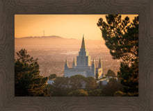 Load image into Gallery viewer, Golden Oakland
