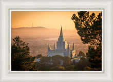 Load image into Gallery viewer, Golden Oakland
