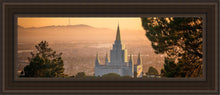 Load image into Gallery viewer, Golden Oakland
