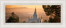 Load image into Gallery viewer, Golden Oakland
