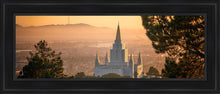 Load image into Gallery viewer, Golden Oakland
