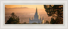 Load image into Gallery viewer, Golden Oakland
