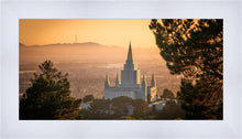 Load image into Gallery viewer, Golden Oakland
