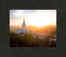 Load image into Gallery viewer, Oakland Sunburst
