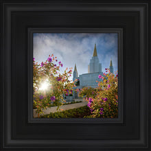 Load image into Gallery viewer, Oakland Brightness and Glory
