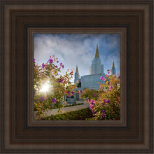 Load image into Gallery viewer, Oakland Brightness and Glory
