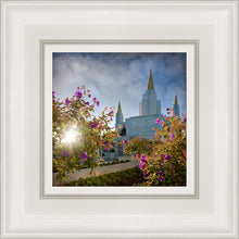 Load image into Gallery viewer, Oakland Brightness and Glory
