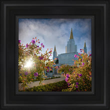 Load image into Gallery viewer, Oakland Brightness and Glory
