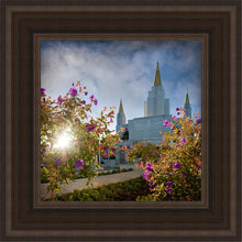 Load image into Gallery viewer, Oakland Brightness and Glory
