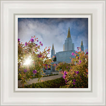 Load image into Gallery viewer, Oakland Brightness and Glory
