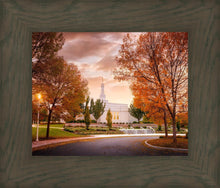 Load image into Gallery viewer, Palmyra Autumn

