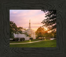 Load image into Gallery viewer, Palmyra Oh How Lovely was the Morning
