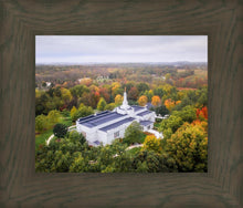 Load image into Gallery viewer, Palmyra and Sacred Grove Aerial
