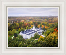 Load image into Gallery viewer, Palmyra and Sacred Grove Aerial
