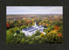 Load image into Gallery viewer, Palmyra and Sacred Grove Aerial
