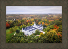 Load image into Gallery viewer, Palmyra and Sacred Grove Aerial
