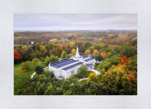 Load image into Gallery viewer, Palmyra and Sacred Grove Aerial
