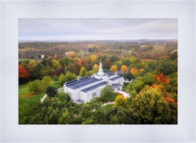 Load image into Gallery viewer, Palmyra and Sacred Grove Aerial
