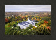 Load image into Gallery viewer, Palmyra and Sacred Grove Aerial
