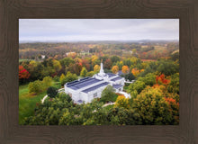 Load image into Gallery viewer, Palmyra and Sacred Grove Aerial

