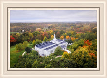 Load image into Gallery viewer, Palmyra and Sacred Grove Aerial
