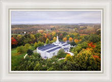 Load image into Gallery viewer, Palmyra and Sacred Grove Aerial
